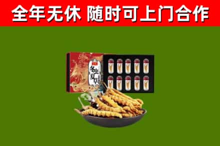 宜川县回收冬虫夏草价格